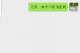 鹿邑融资清欠服务